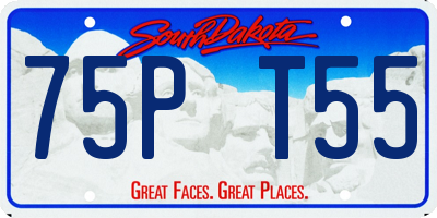 SD license plate 75PT55