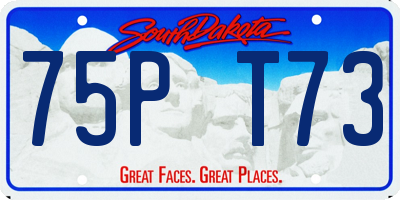 SD license plate 75PT73