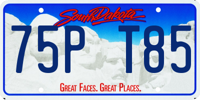 SD license plate 75PT85