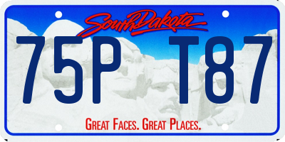 SD license plate 75PT87