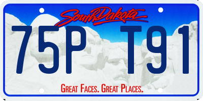 SD license plate 75PT91