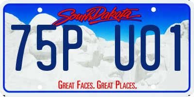 SD license plate 75PU01