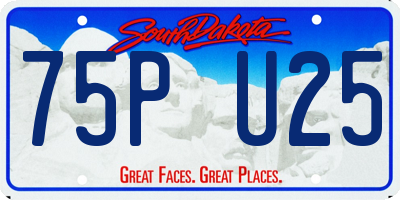 SD license plate 75PU25