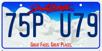 SD license plate 75PU79