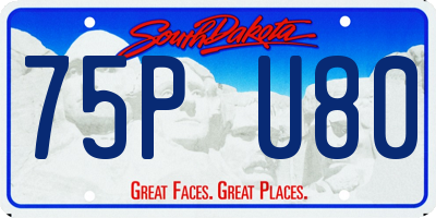 SD license plate 75PU80