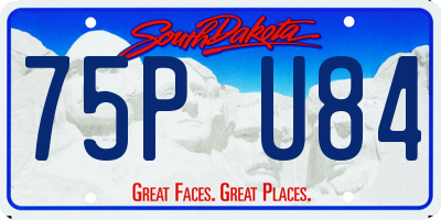 SD license plate 75PU84