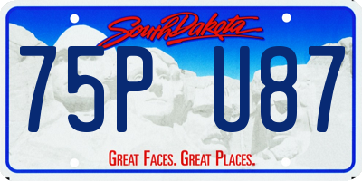 SD license plate 75PU87