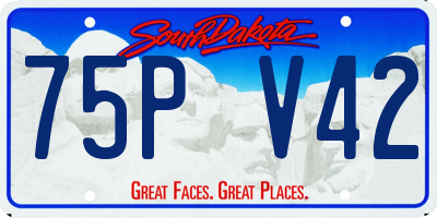 SD license plate 75PV42