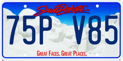 SD license plate 75PV85