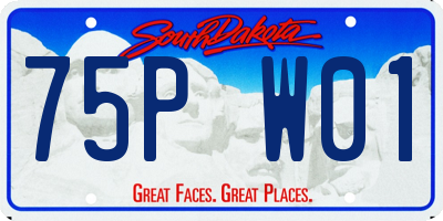 SD license plate 75PW01