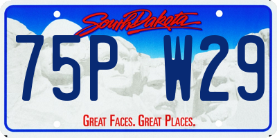 SD license plate 75PW29
