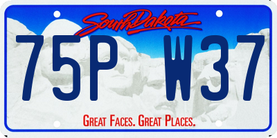 SD license plate 75PW37