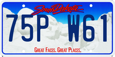 SD license plate 75PW61