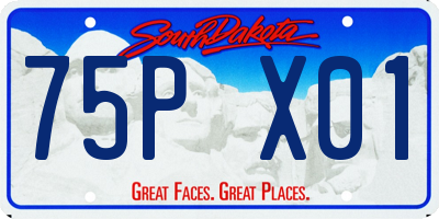 SD license plate 75PX01