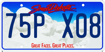 SD license plate 75PX08