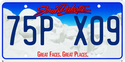SD license plate 75PX09