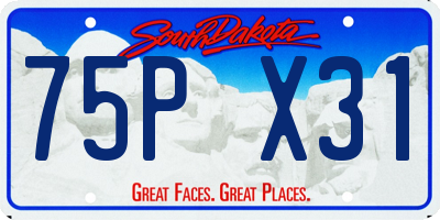 SD license plate 75PX31