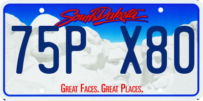 SD license plate 75PX80