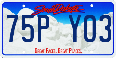 SD license plate 75PY03