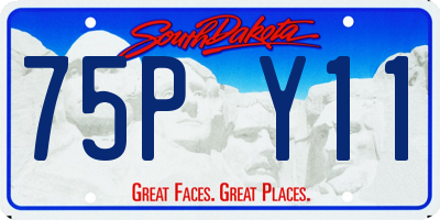 SD license plate 75PY11
