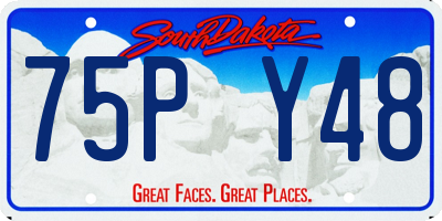 SD license plate 75PY48