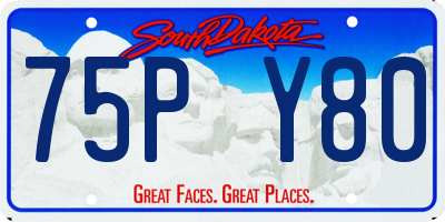 SD license plate 75PY80