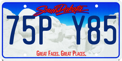 SD license plate 75PY85