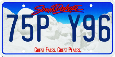 SD license plate 75PY96