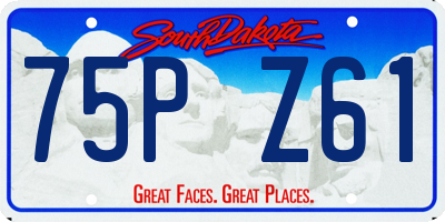SD license plate 75PZ61