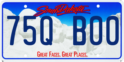 SD license plate 75QB00