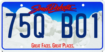SD license plate 75QB01