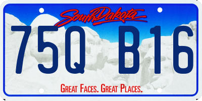 SD license plate 75QB16