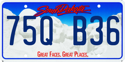 SD license plate 75QB36