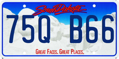 SD license plate 75QB66