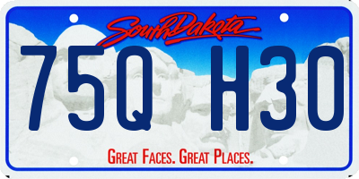 SD license plate 75QH30