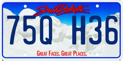 SD license plate 75QH36