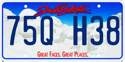 SD license plate 75QH38