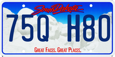 SD license plate 75QH80