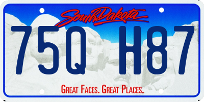 SD license plate 75QH87