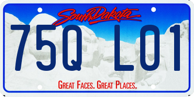 SD license plate 75QL01