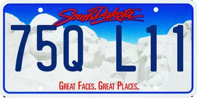 SD license plate 75QL11