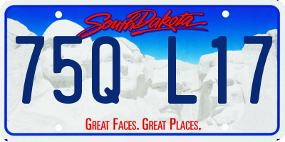 SD license plate 75QL17