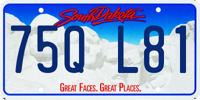 SD license plate 75QL81