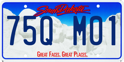 SD license plate 75QM01