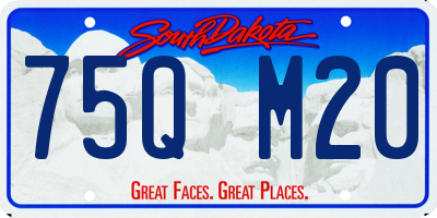 SD license plate 75QM20