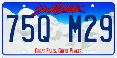 SD license plate 75QM29