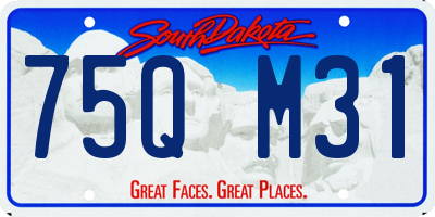 SD license plate 75QM31