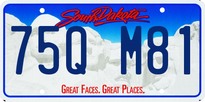 SD license plate 75QM81