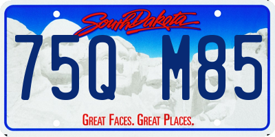 SD license plate 75QM85