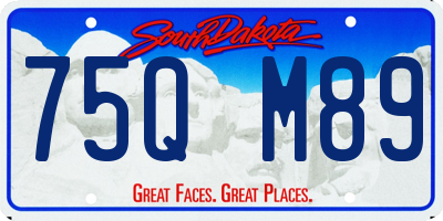 SD license plate 75QM89